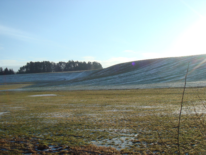 Gelaende_Buehl